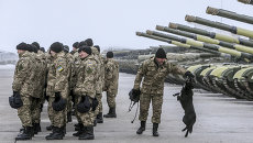 Военнослужащие украинской армии, архивное фото